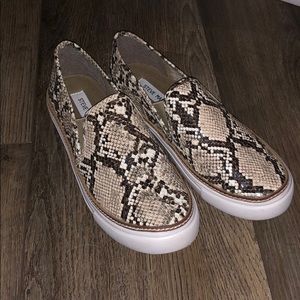 Steve Madden Snake Print Sneakers